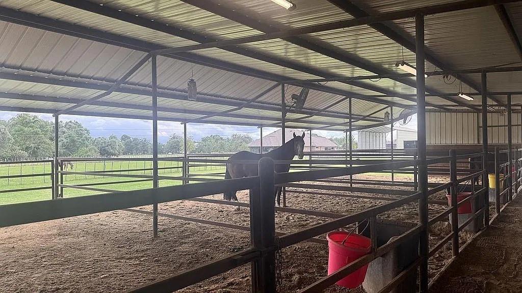 8850 Old Agnes Road Poolville, TX 76487 - Photo 19 of 34 Gallery Image 19
