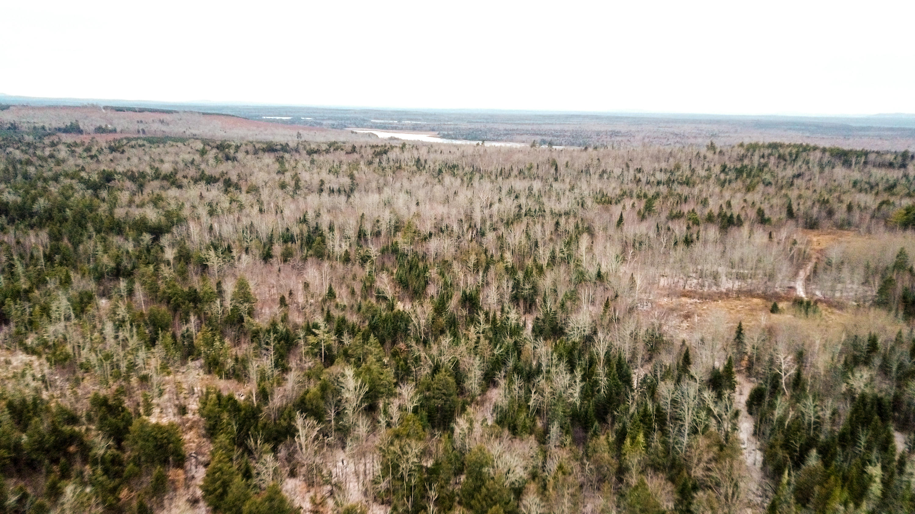 Lot 4-5 Lawler Ridge Road Benedicta, ME 04733 - Photo 9 of 21 Edited-10-
