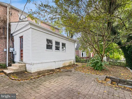 a view of a yard with plants and trees