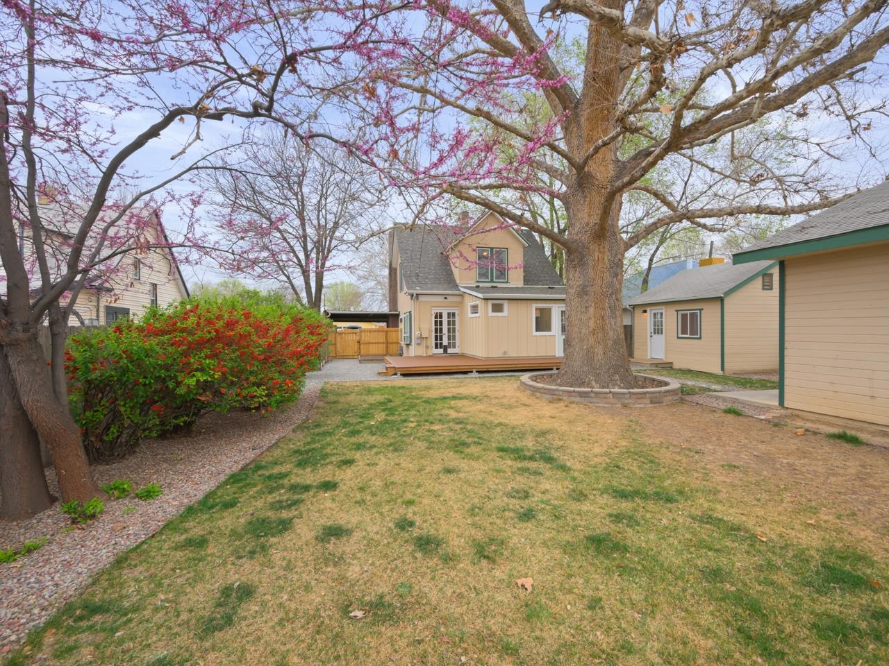 152 South Apple Street Fruita, CO 81521 - Photo 38 of 42