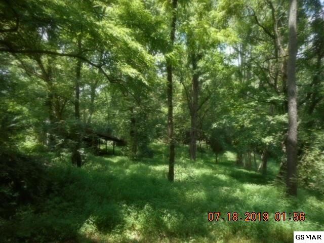 3638 Big Springs Ridge Road Friendsville, TN 37737 - Photo 17 of 31 Gallery Image 17
