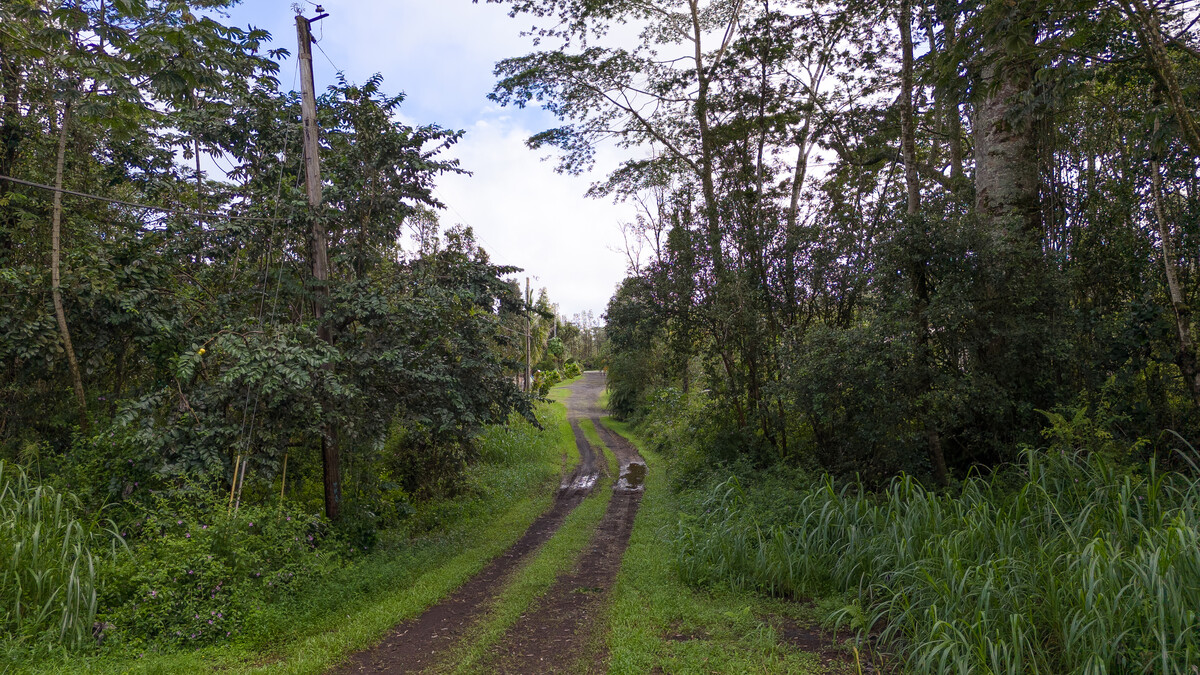 1182 Alii Road Pahoa, HI 96778 - Photo 1 of 13 Gallery Image 1