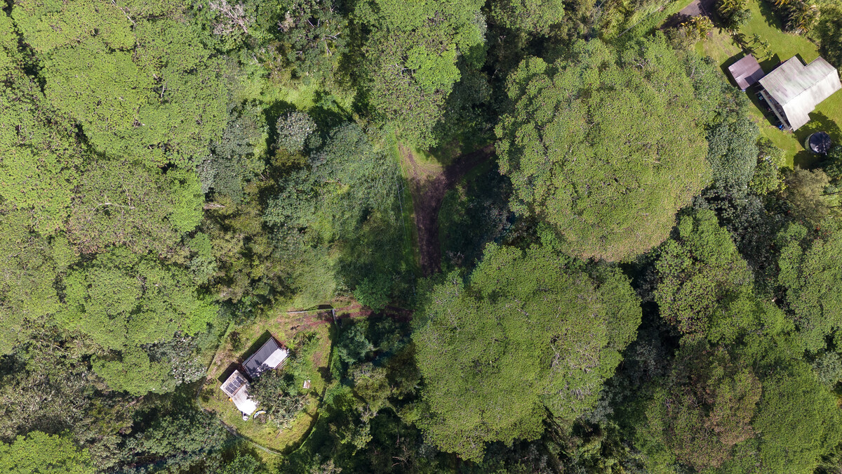 1182 Alii Road Pahoa, HI 96778 - Photo 8 of 13 Gallery Image 8