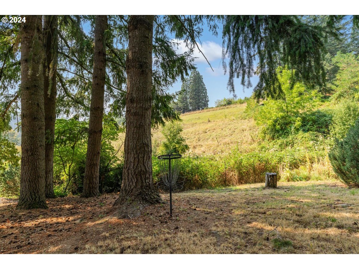1500 Southwest Walters Drive Gresham, OR 97080 - Photo 43 of 48 a view of outdoor space and yard