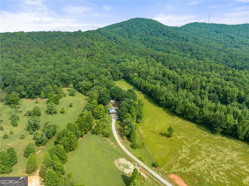 0 Freeman View Trail, Unit LOT 4 Cleveland, GA 30528 - Photo 6 of 20