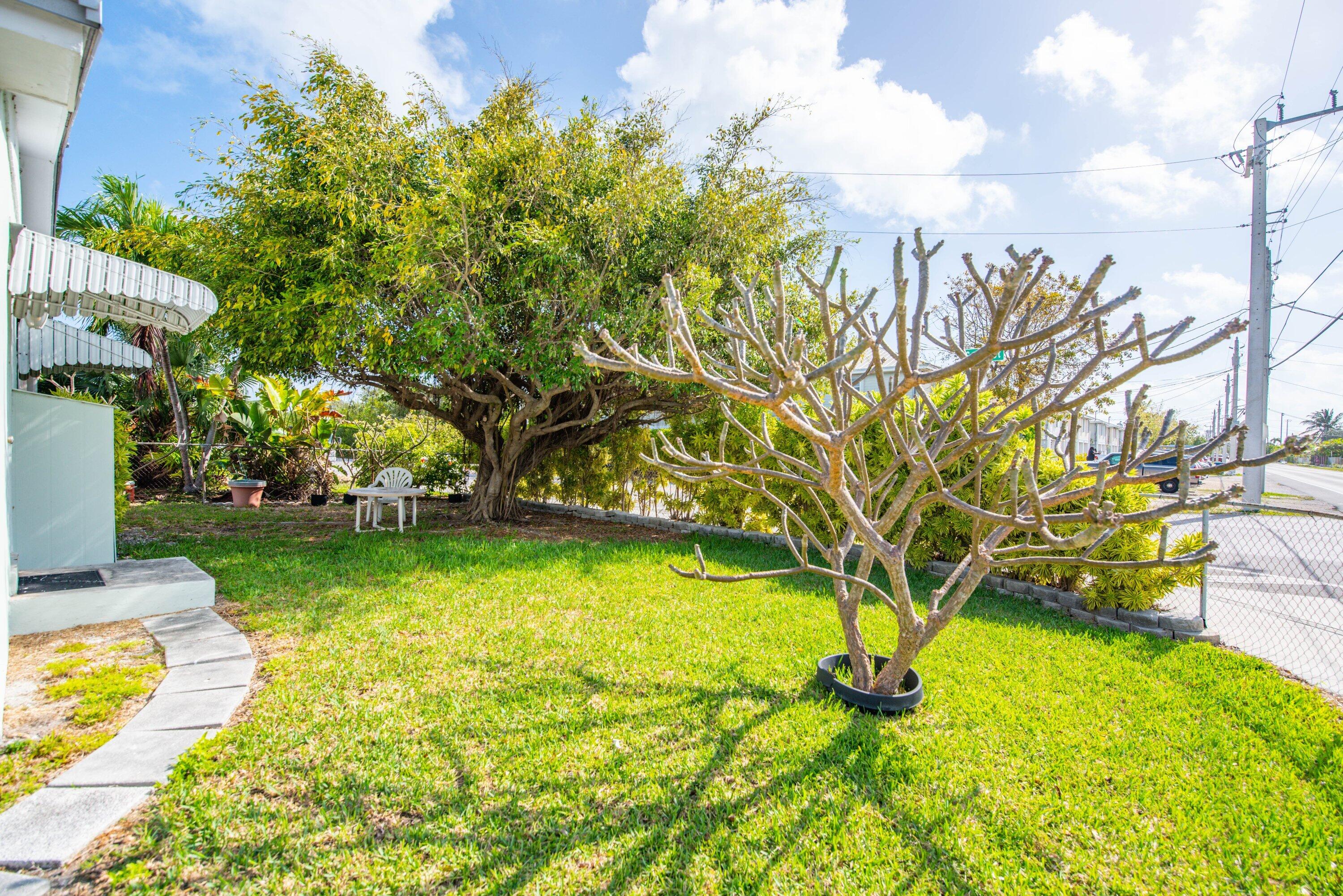 317 Cross Street Stock Island, FL 33040 - Photo 5 of 25 a garden view