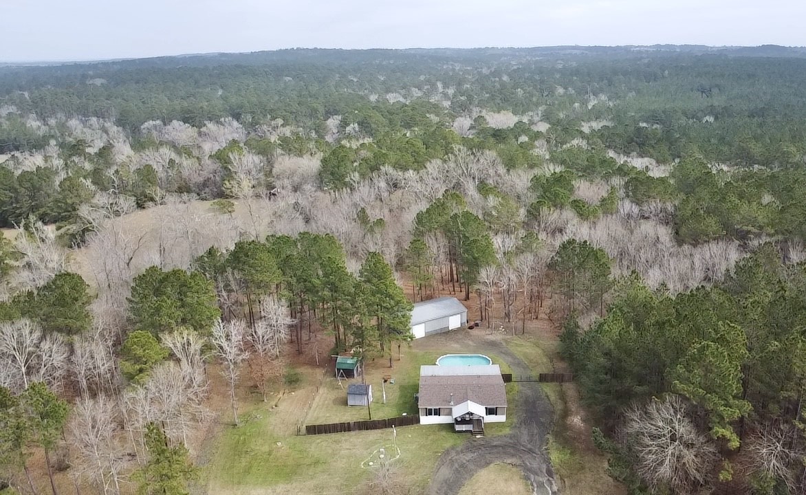 1580 Farm To Market 1745 Colmesneil, TX 75938 - Photo 35 of 36 a view of a city with lush green forest