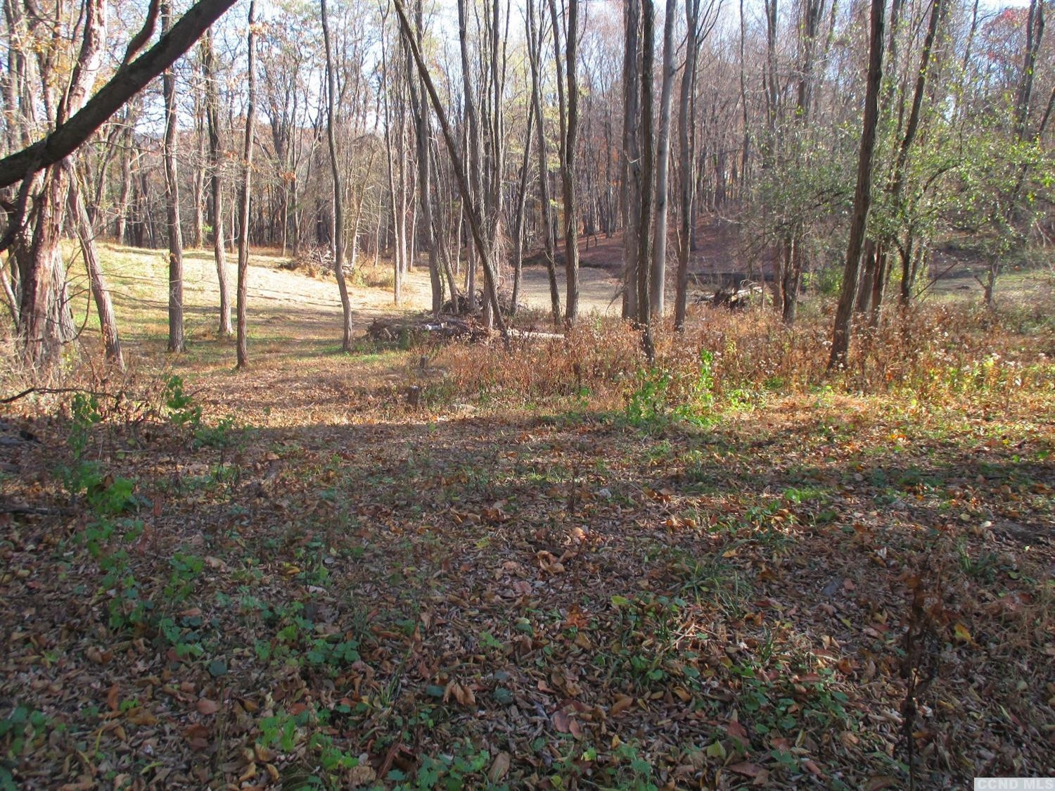 27 Middle Road Hudson, NY 12534 - Photo 2 of 5 a view of outdoor space with deck and trees