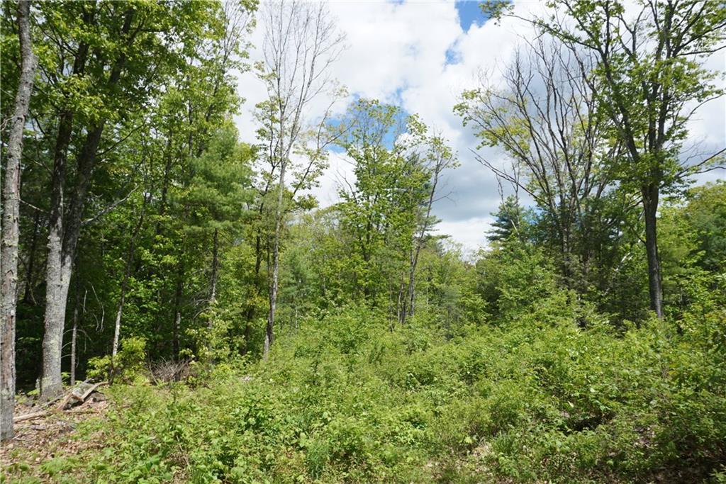 Lot 15 Main Road Phippsburg, ME 04562 - Photo 6 of 12 Photo