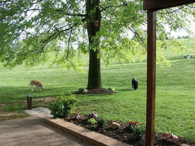 3035 Valley View Road Northeast Lancaster, OH 43130 - Photo 10 of 11 Gallery Image 10
