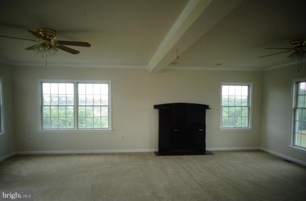 3032 Marker Road Middletown, MD 21769 - Photo 9 of 14 Family Room