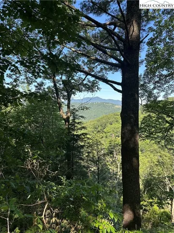 a view of lake from balcony