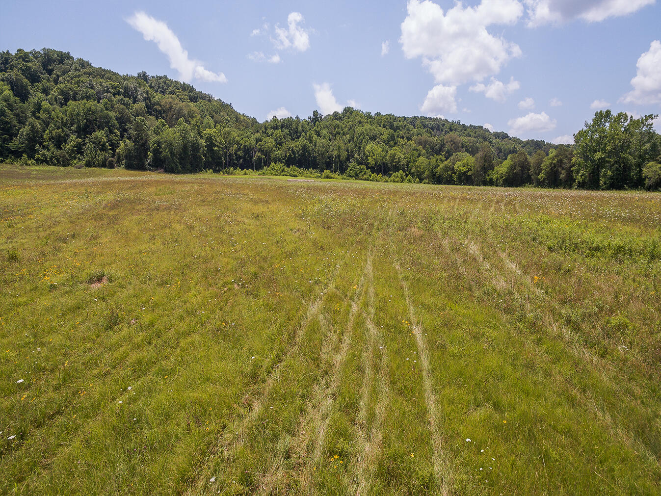 Tbd Warrensburg Road, Unit 36 Mosheim, TN 37818 - Photo 15 of 16 D_Neas_LNA_0030