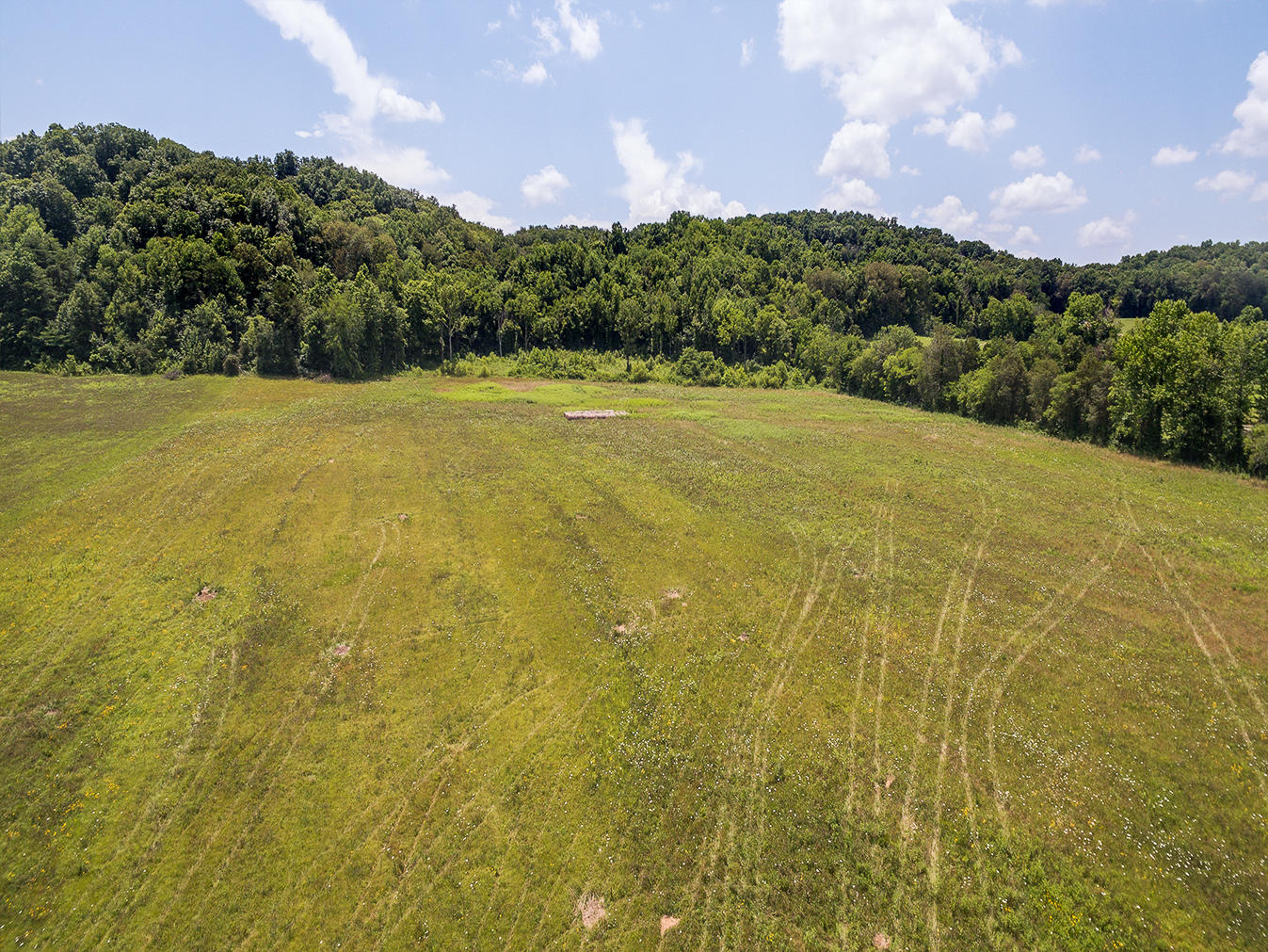 Tbd Warrensburg Road, Unit 36 Mosheim, TN 37818 - Photo 16 of 16 D_Neas_LNA_0033