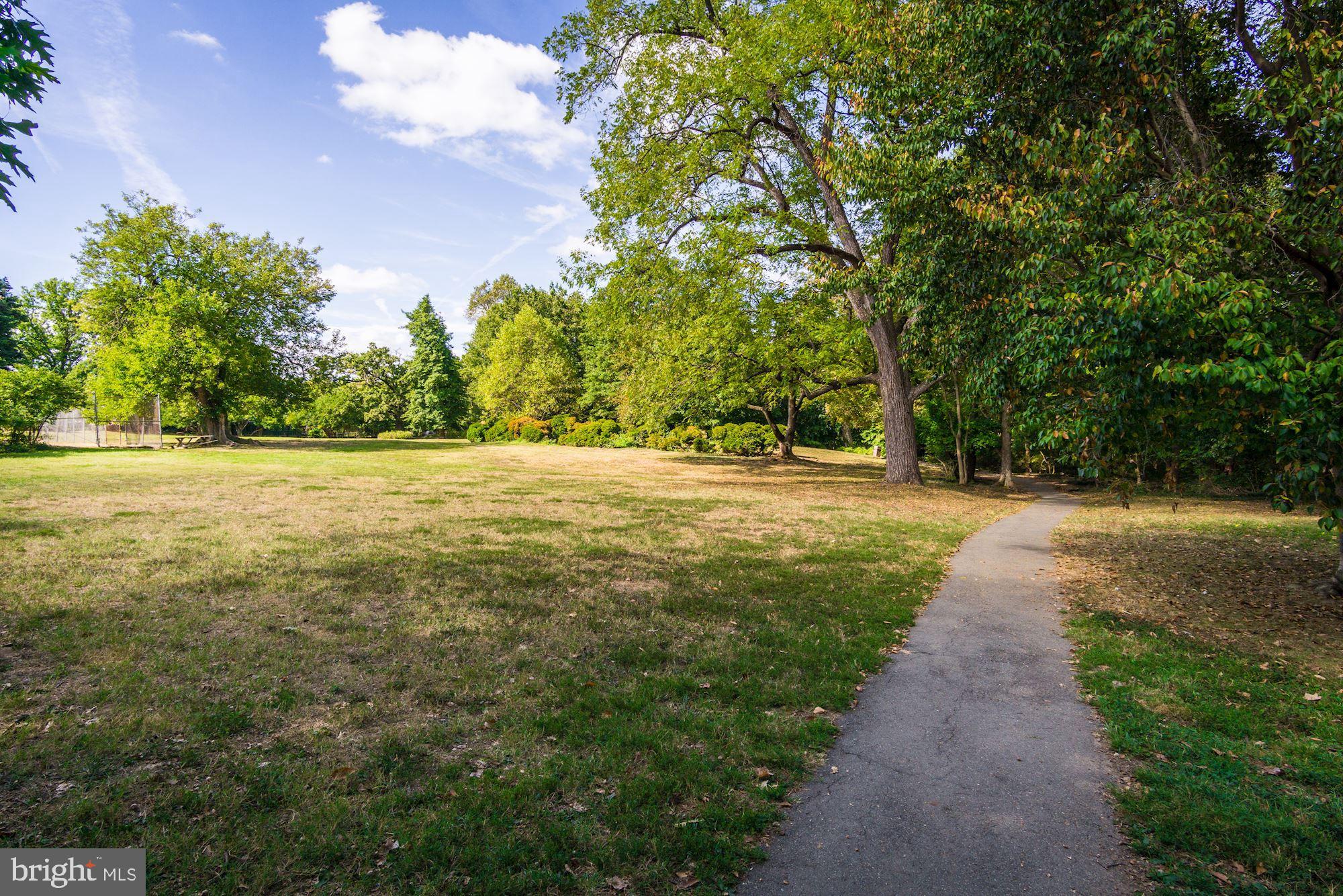 3040 R Street Northwest, Unit 1/2 Washington, DC 20007 - Photo 31 of 33 a view of a yard with a tree