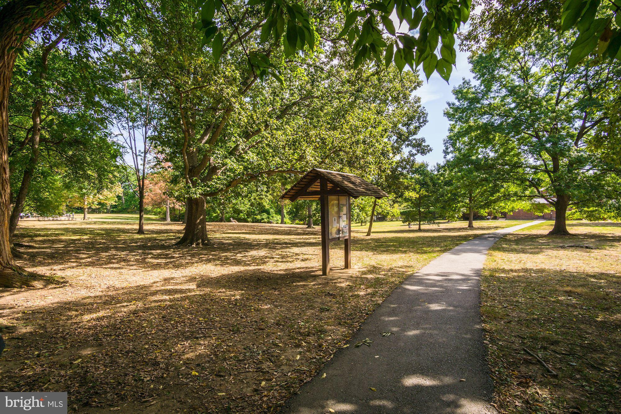 3040 R Street Northwest, Unit 1/2 Washington, DC 20007 - Photo 32 of 33 a view of yard with tree