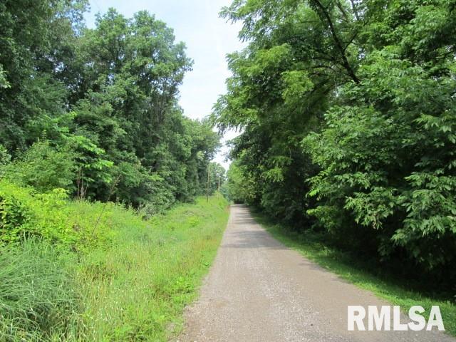 0 East Copeland Road Walnut Hill, IL 62893 - Photo 2 of 11