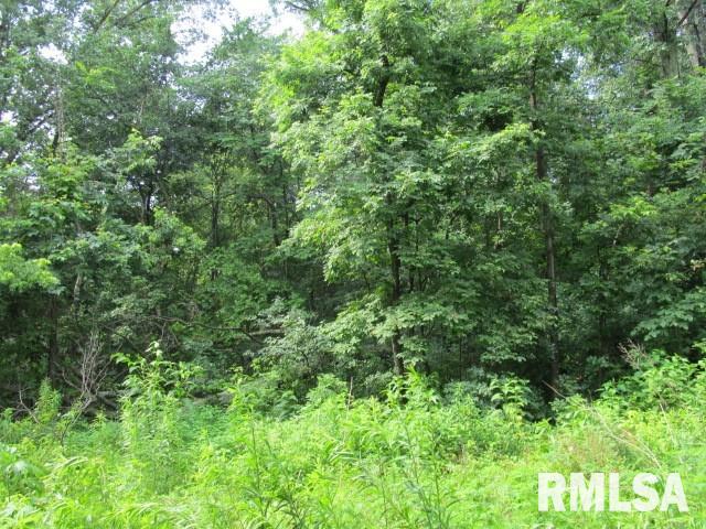 0 East Copeland Road Walnut Hill, IL 62893 - Photo 11 of 11
