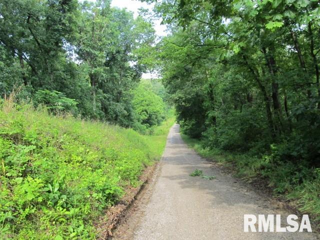 0 East Copeland Road Walnut Hill, IL 62893 - Photo 3 of 11