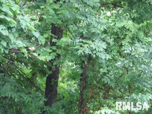 0 East Copeland Road Walnut Hill, IL 62893 - Photo 6 of 11