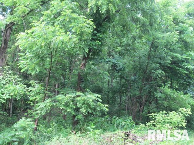 0 East Copeland Road Walnut Hill, IL 62893 - Photo 7 of 11