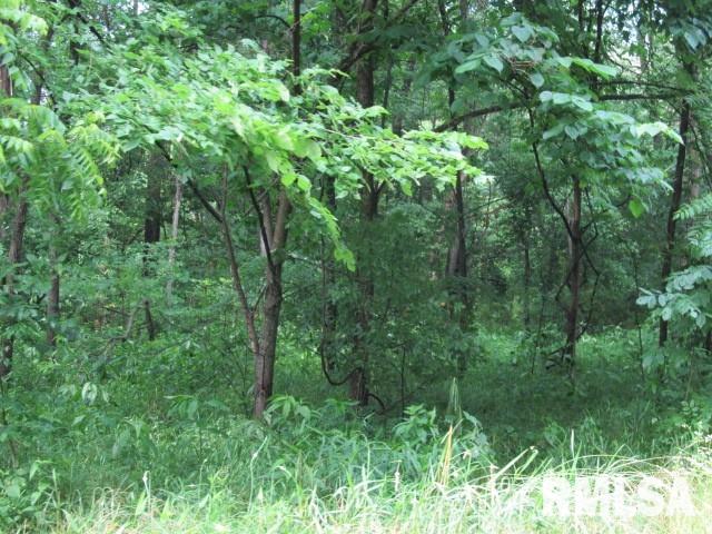 0 East Copeland Road Walnut Hill, IL 62893 - Photo 8 of 11