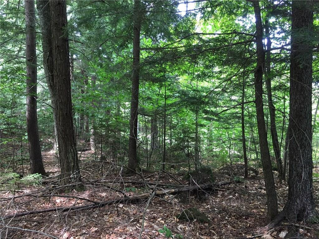 Lot 4 Gales Road Abbot, ME 04406 - Photo 3 of 16 Photo