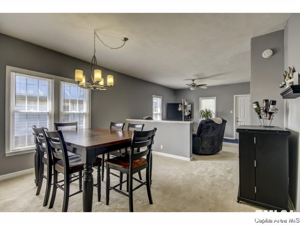 534 South Springfield Street Virden, IL 62690 - Photo 15 of 35 Gallery Image 15
