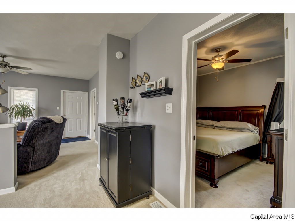 534 South Springfield Street Virden, IL 62690 - Photo 16 of 35 Gallery Image 16