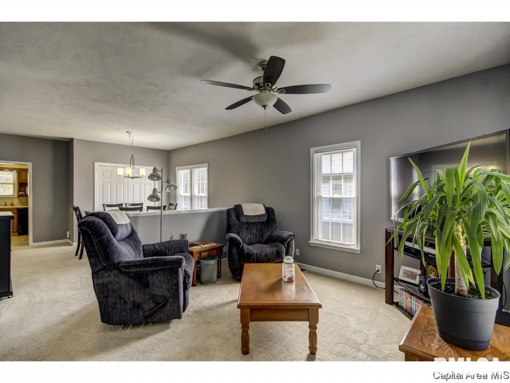 534 South Springfield Street Virden, IL 62690 - Photo 8 of 35 Gallery Image 8