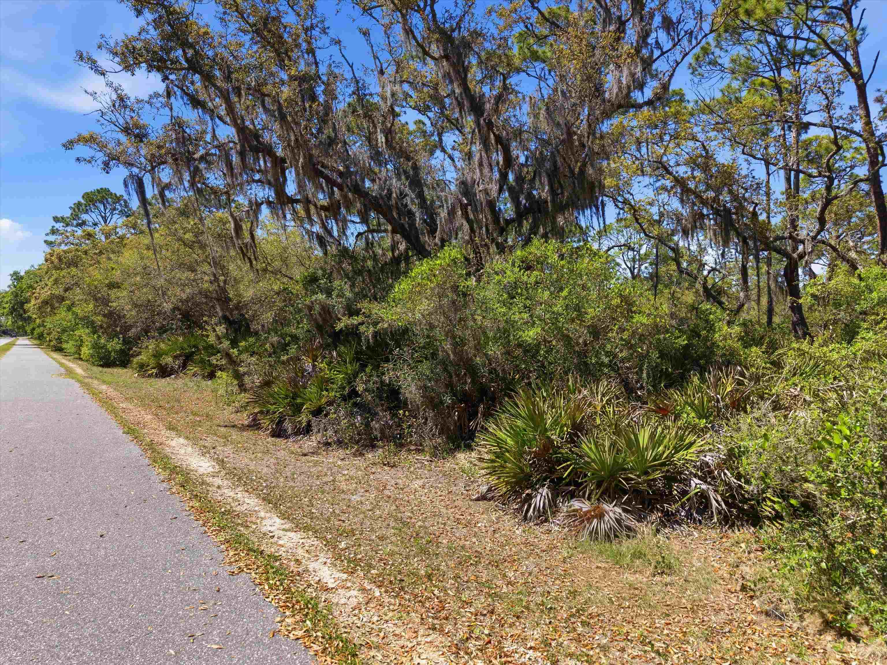 Xxx Mashes Sands Road Panacea, FL 32346 - Photo 22 of 23