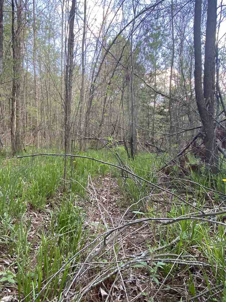 1800 Chappel Dam Road Gladwin, MI 48624 - Photo 15 of 19 Gallery Image 15
