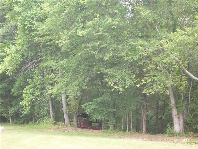 0 Deer Run Road Joelton, TN 37080 - Photo 3 of 4 Gallery Image 3