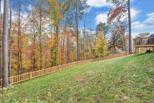 a bathroom with a sink a toilet and shower curtain