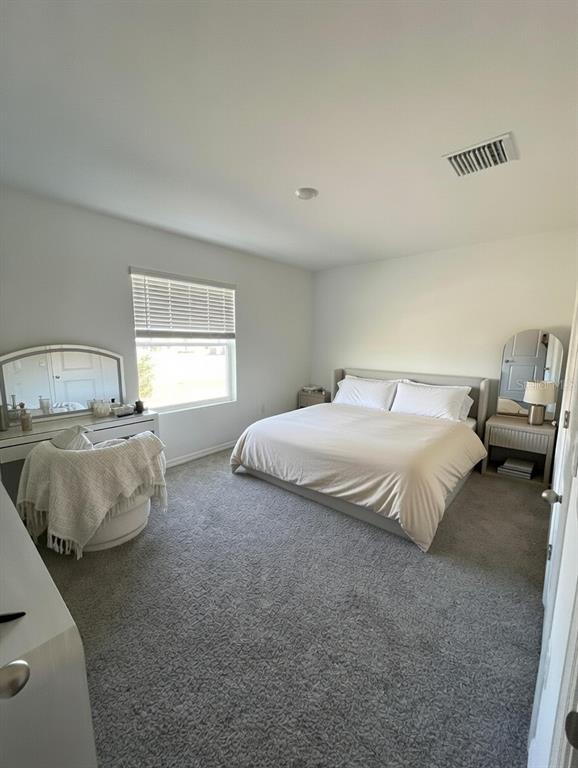 32599 Turtle Grace Loop Wesley Chapel, FL 33545 - Photo 12 of 18