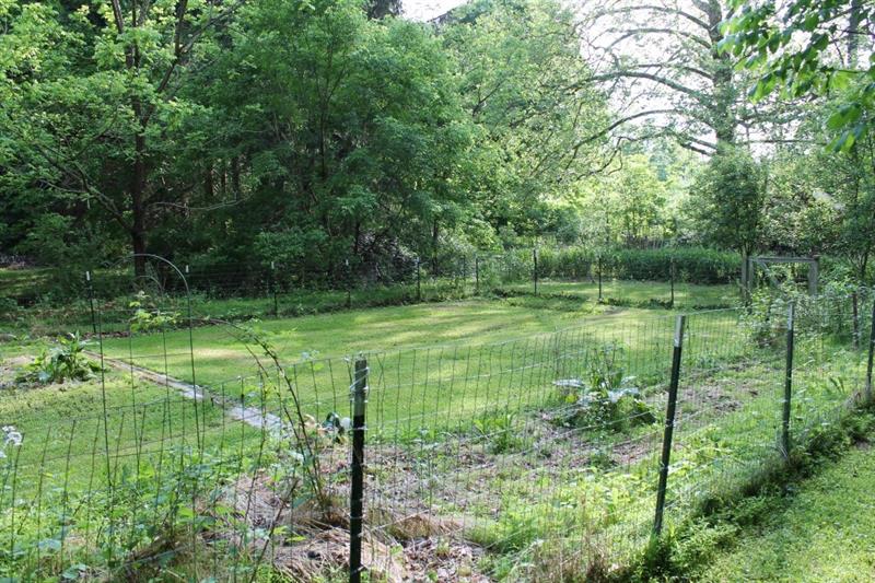461 Jefferson School Road Ligonier, PA 15658 - Photo 11 of 25 Great space with lots of sun for whatever you like from your garden!