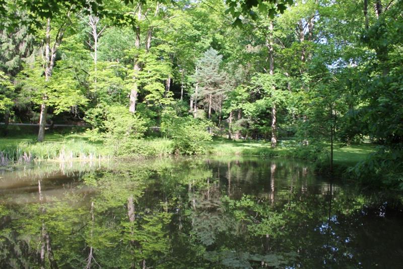 461 Jefferson School Road Ligonier, PA 15658 - Photo 6 of 25 Lovely shot of the pond with trees reflecting off the water!