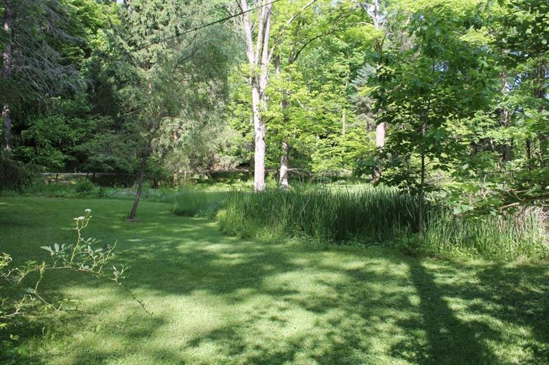 461 Jefferson School Road Ligonier, PA 15658 - Photo 8 of 25 Serene setting with grasses surrounding the pond.