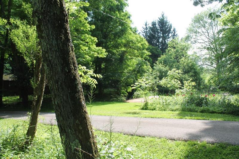 461 Jefferson School Road Ligonier, PA 15658 - Photo 9 of 25 Looking to the gardens to the right of the driveway as you enter the property.