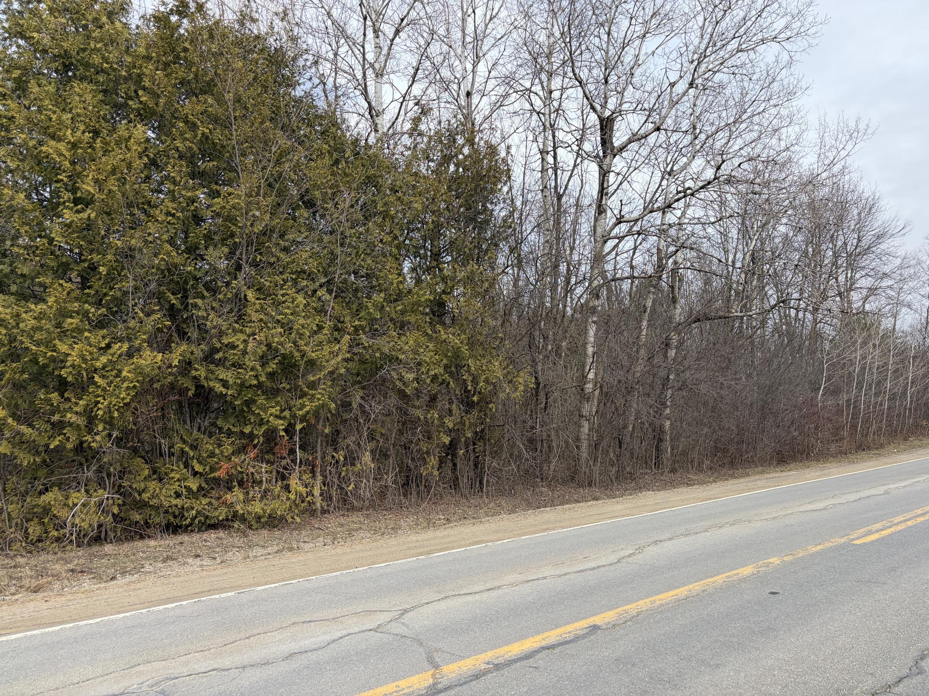 0 Stratton Hill Road West Chazy, NY 12992 - Photo 3 of 4 IMG_0403