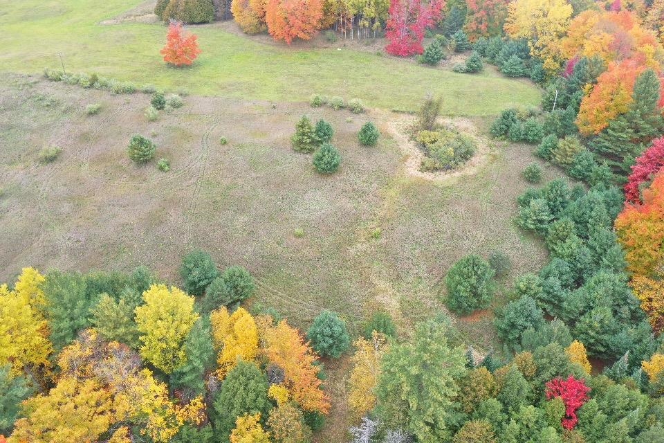 N/a Crozier Road Lupton, MI 48635 - Photo 11 of 19