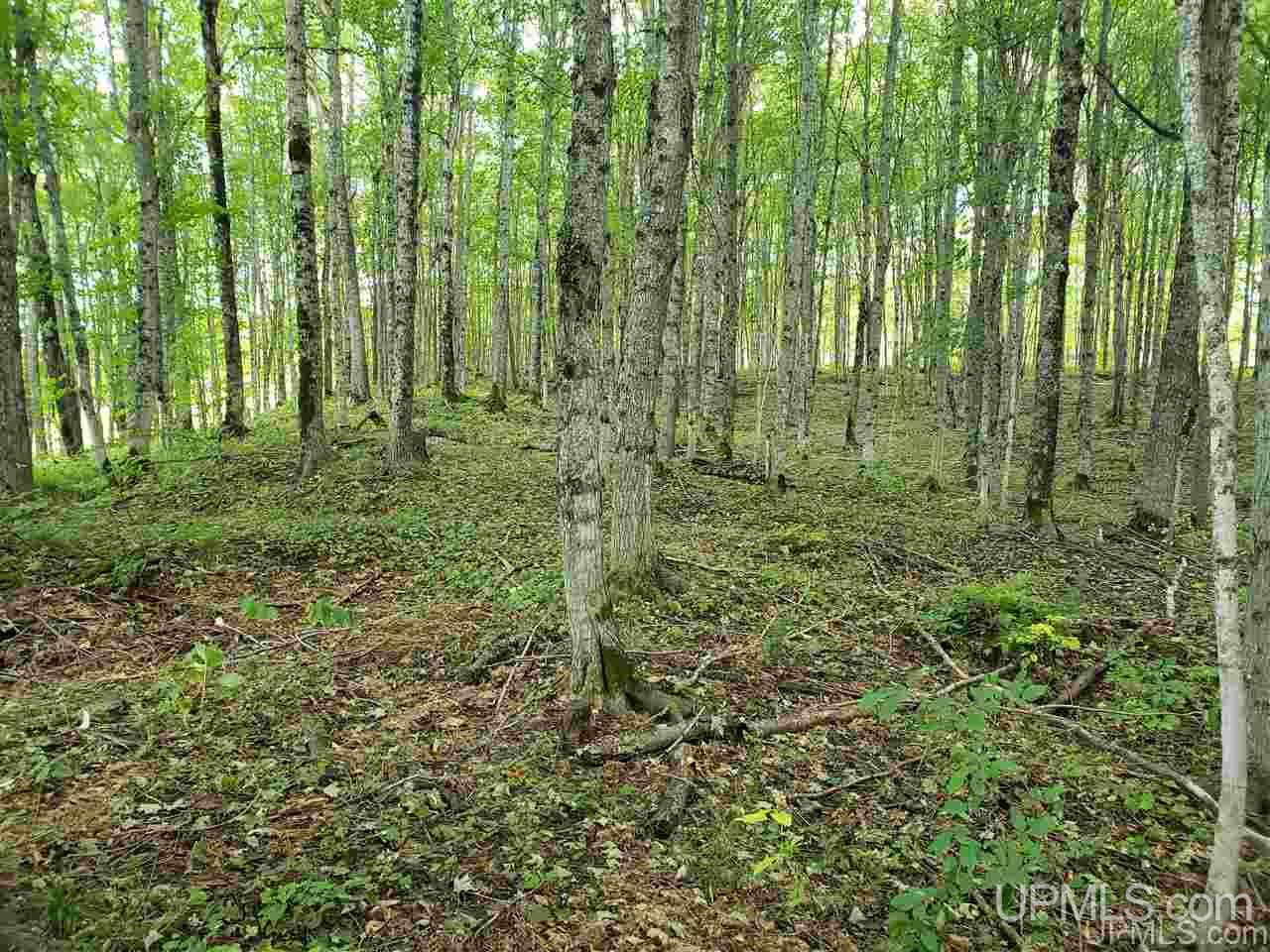 5625 Akkala Road Eben Junction, MI 49825 - Photo 45 of 47