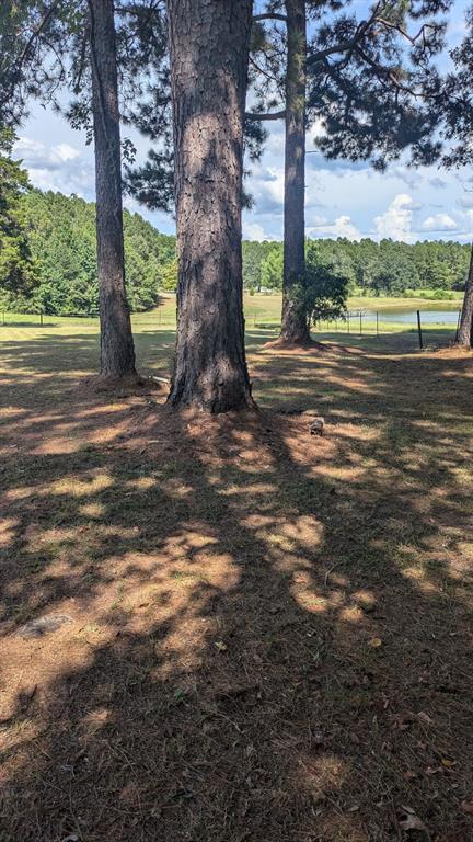 294 FISHING GROUNDS Road Pelican, LA 71063 - Photo 2 of 22 a view of a yard with an tree
