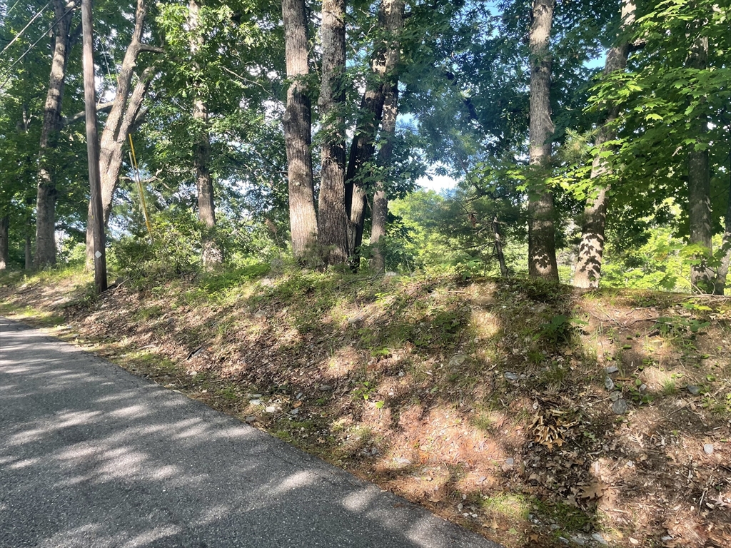 Lot 0 Mason Road Ashby, MA 01431 - Photo 4 of 4