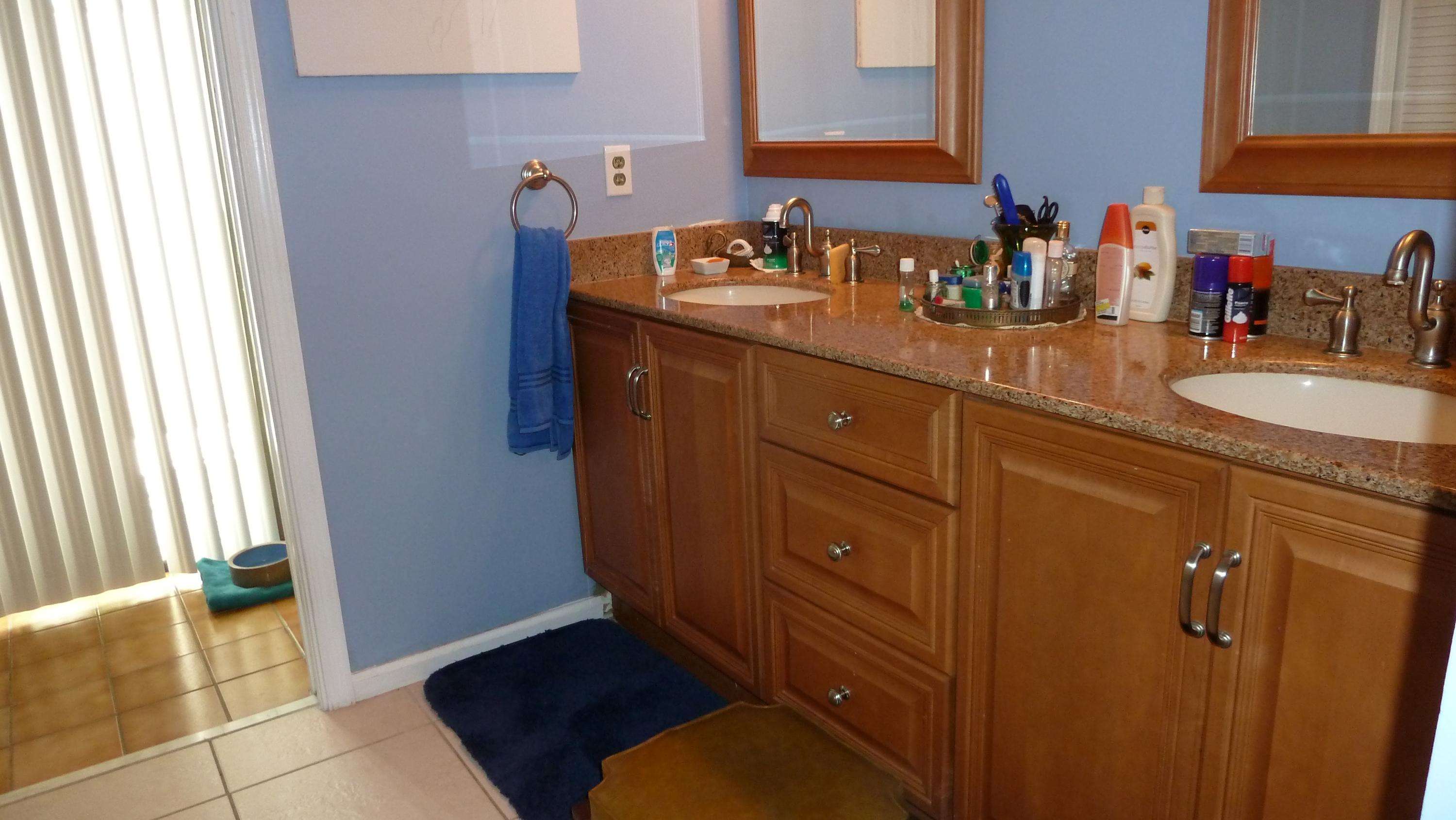 1075 Raintree Lane Wellington, FL 33414 - Photo 12 of 21 Master Bath