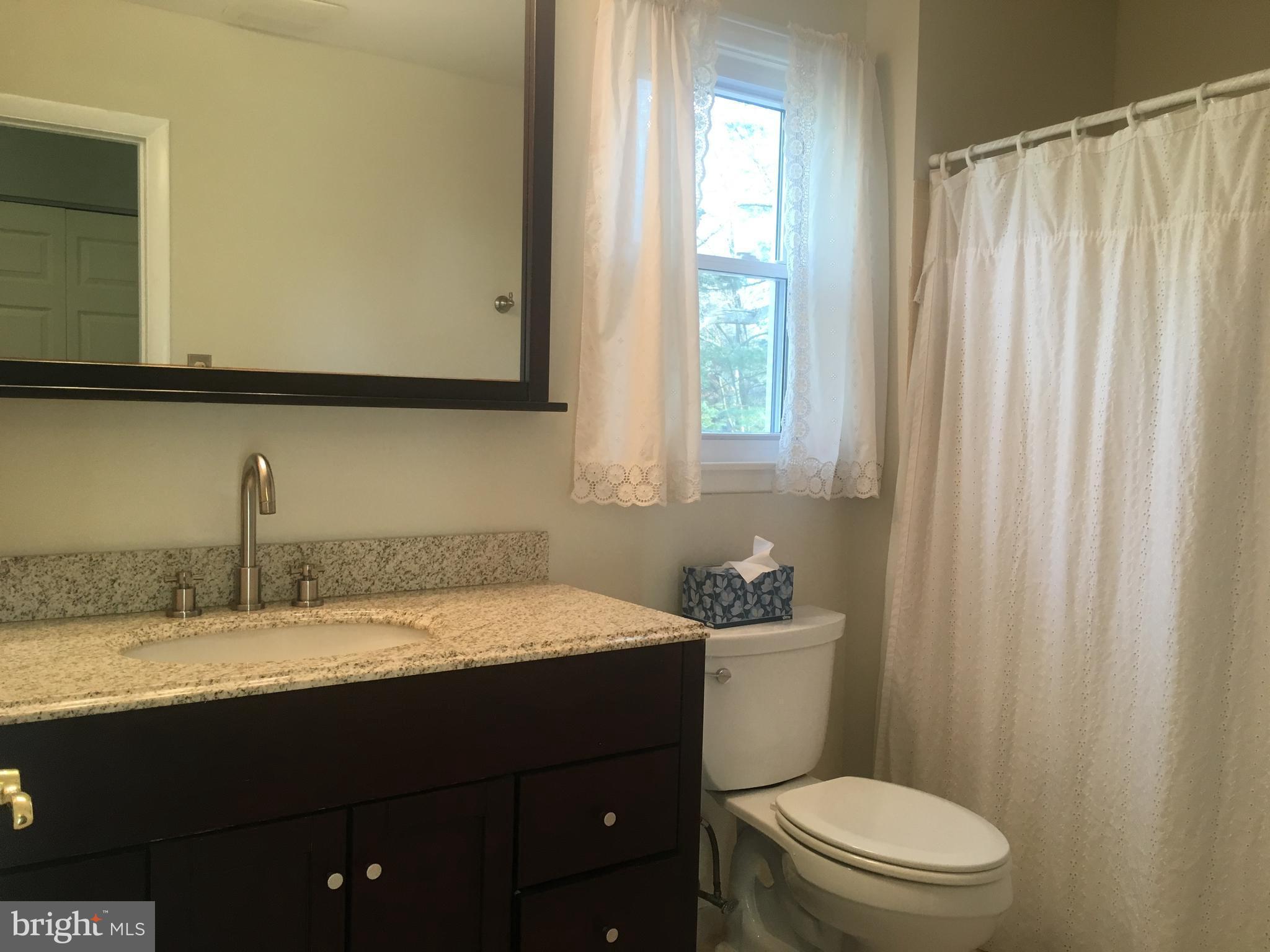 5201 Lynngate Road Columbia, MD 21044 - Photo 20 of 29 Updated Hall Bath