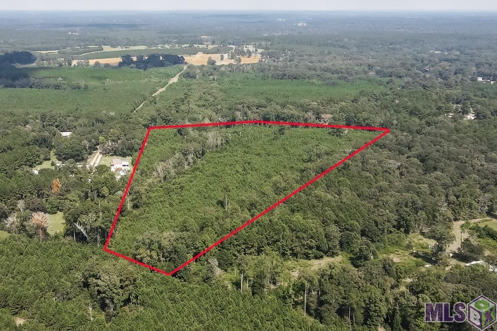 29.22-acres Battle Road Ethel, LA 70730 - Photo 7 of 10