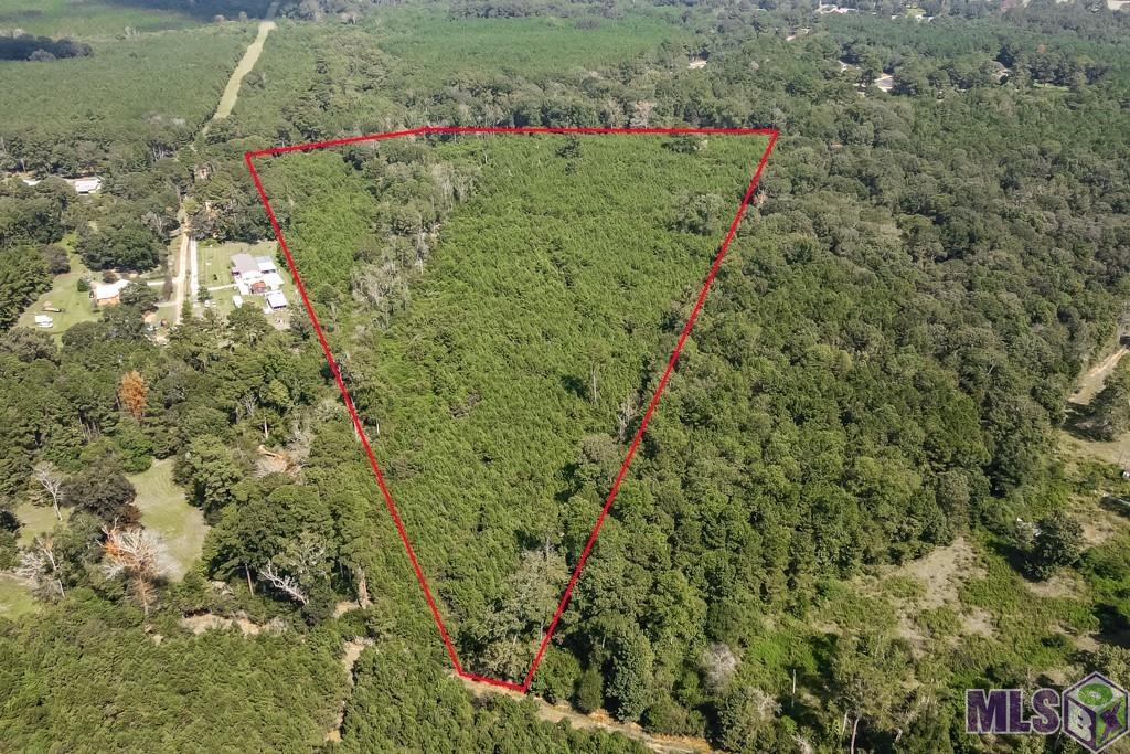 29.22-acres Battle Road Ethel, LA 70730 - Photo 8 of 10