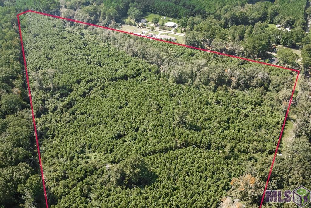 29.22-acres Battle Road Ethel, LA 70730 - Photo 9 of 10