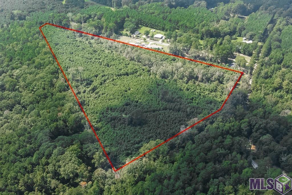 29.22-acres Battle Road Ethel, LA 70730 - Photo 10 of 10